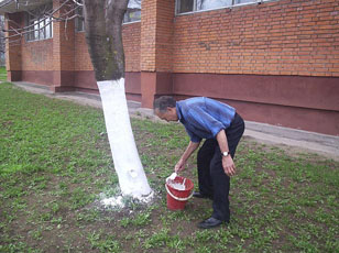 Субботник-2